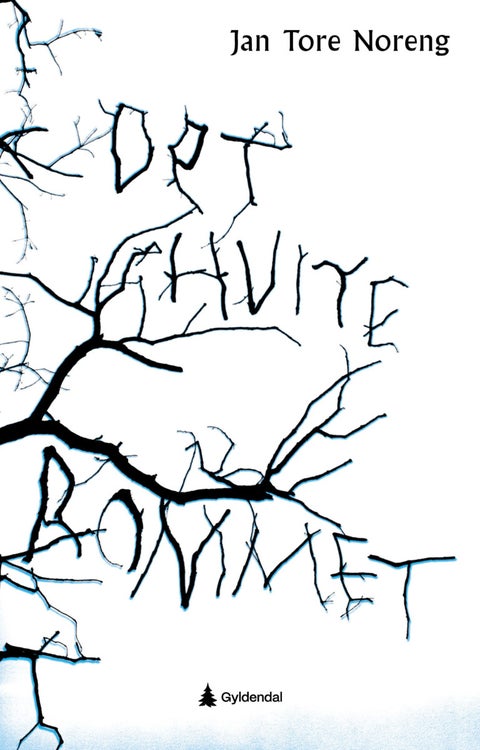 Det hvite rommet - ungdomsroman