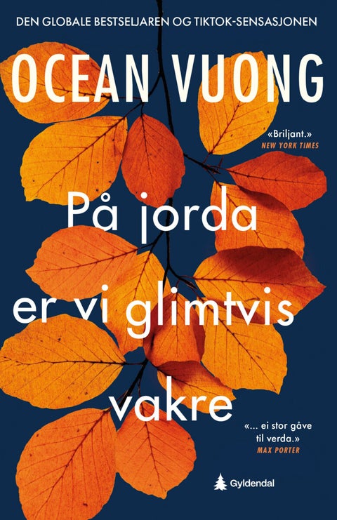 På jorda er vi glimtvis vakre - roman