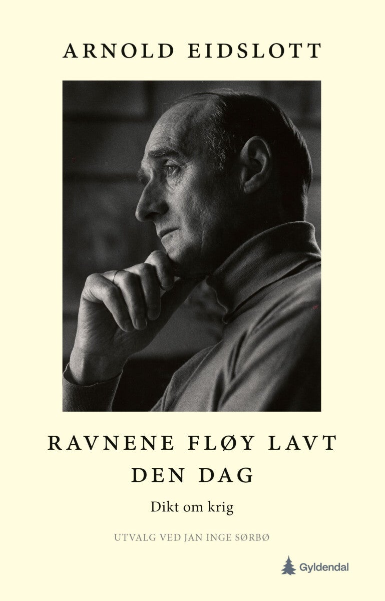 Ravnene fløy lavt den dag - dikt om krig