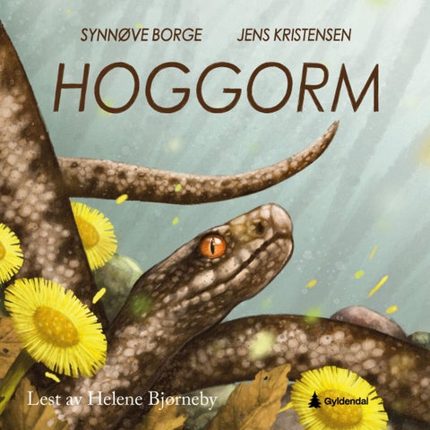 Hoggorm - vipera berus