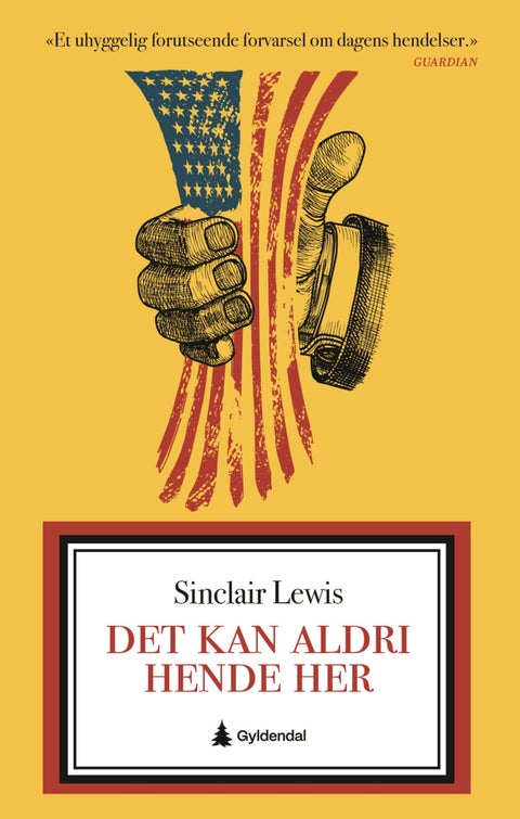 Det kan aldri hende her - roman