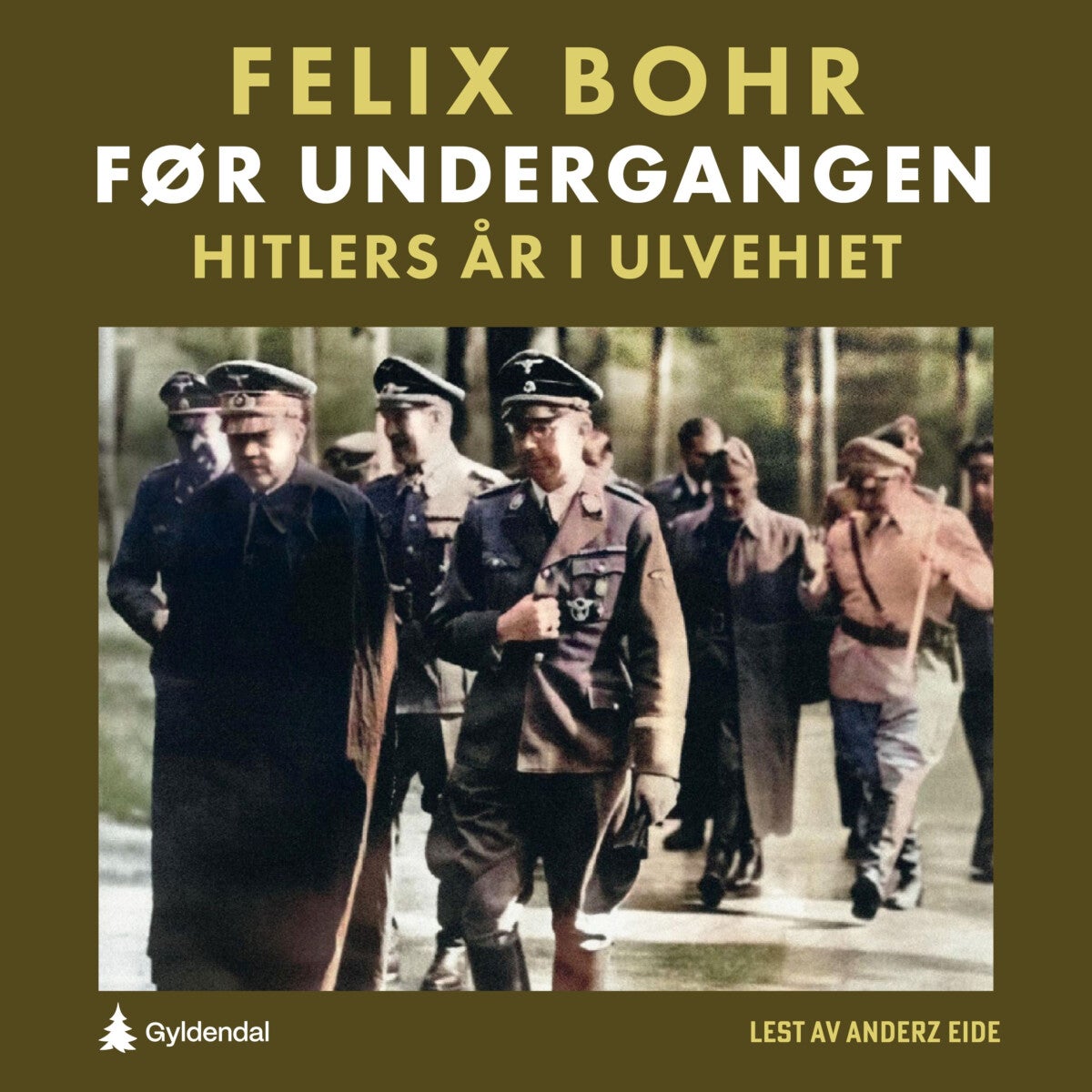 Før undergangen - Hitlers år i Ulvehiet