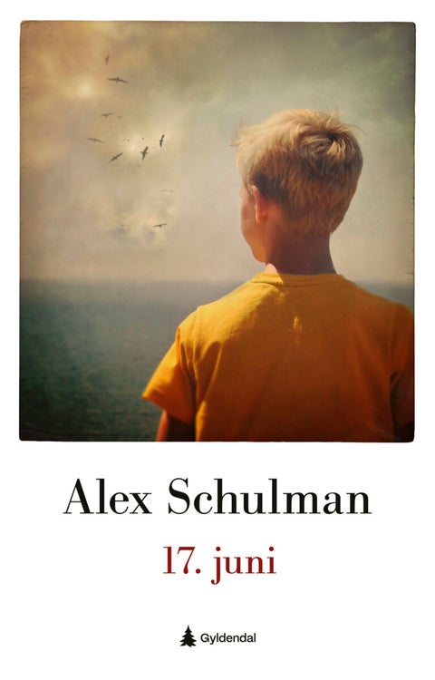 17. juni - roman