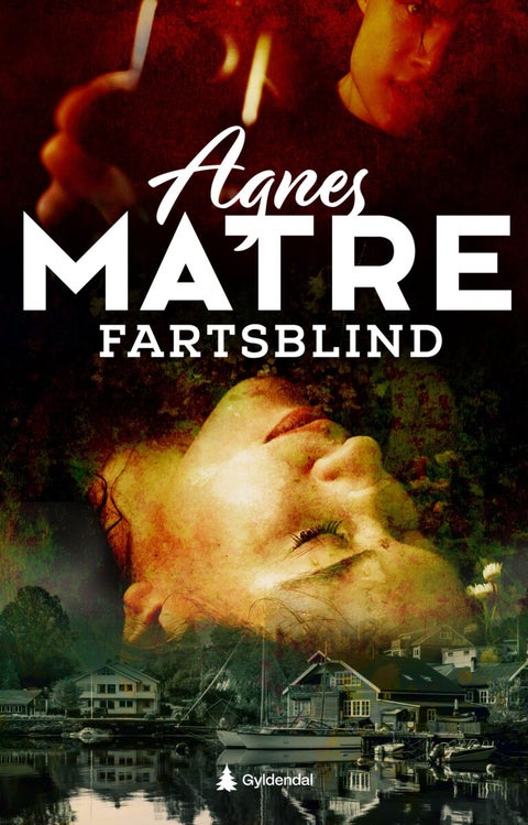 Fartsblind - kriminalroman