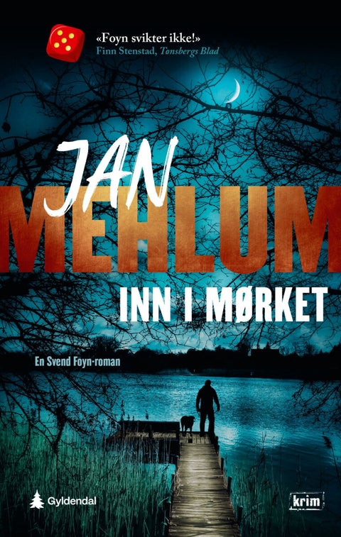 Inn i mørket - kriminalroman