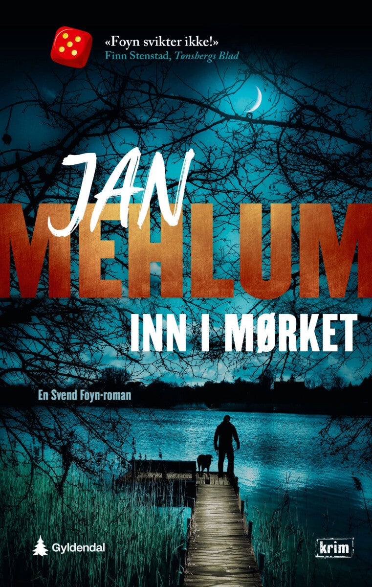 Inn i mørket - kriminalroman