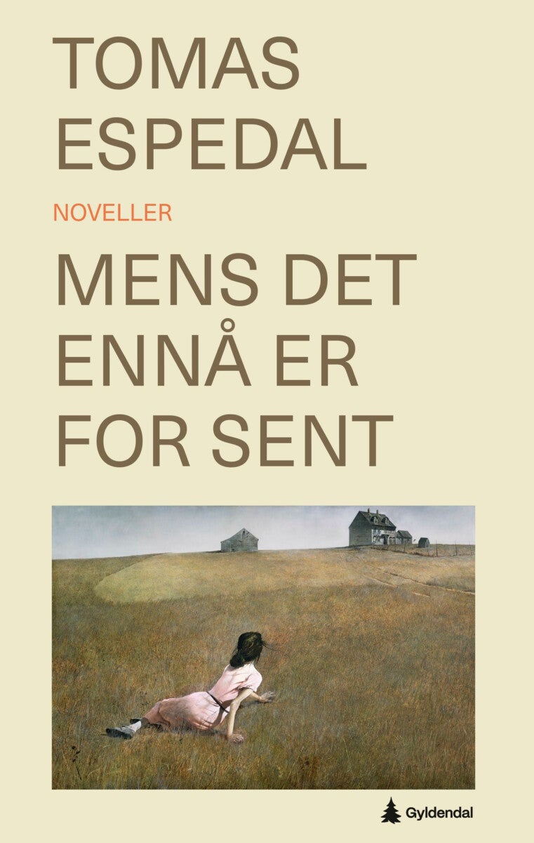 Mens det ennå er for sent - (noveller)