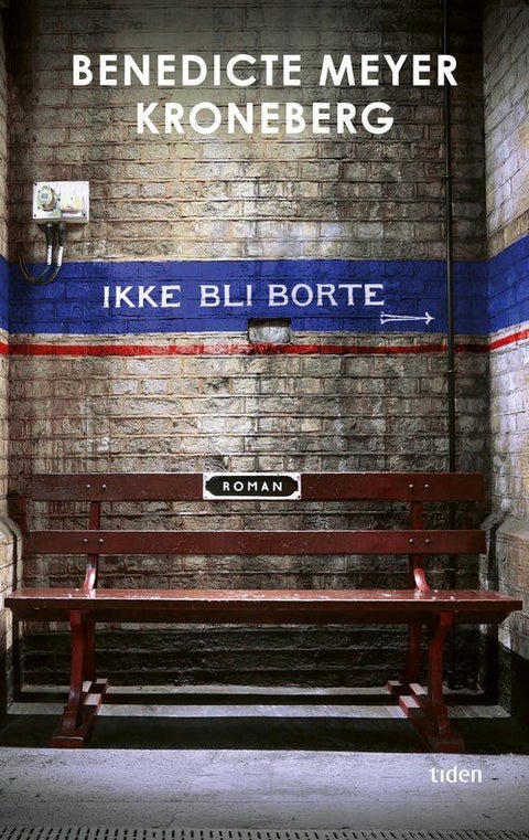 Ikke bli borte - roman