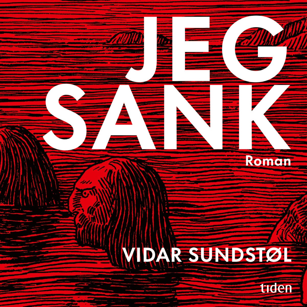 Jeg sank - roman