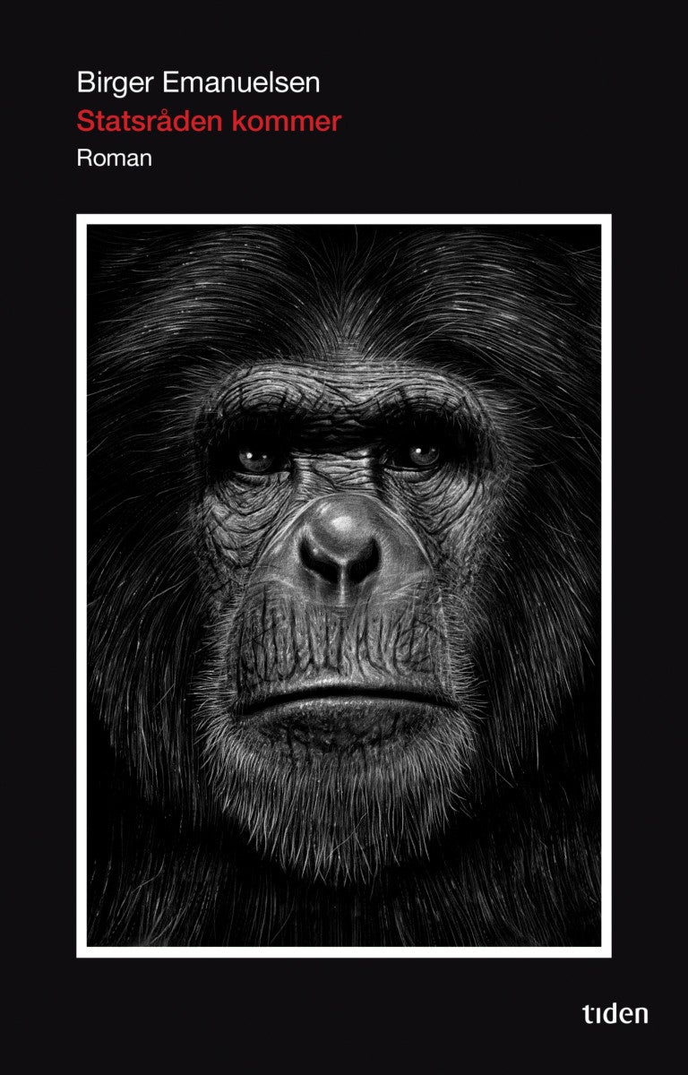 Statsråden kommer - roman