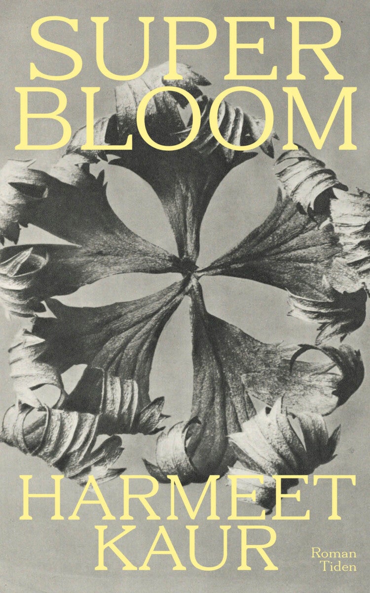 book cover thumbnail