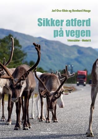 Sikker atferd på vegen - yrkessjåfør - modul 6