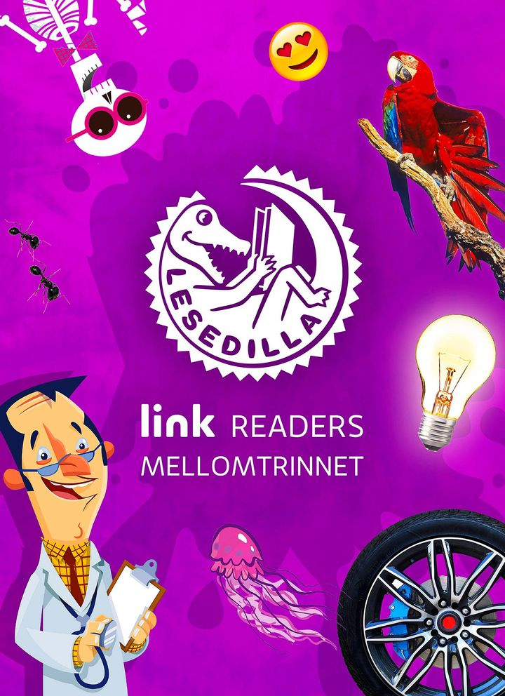 Link readers - Pakkeløsning : mellomtrinnet