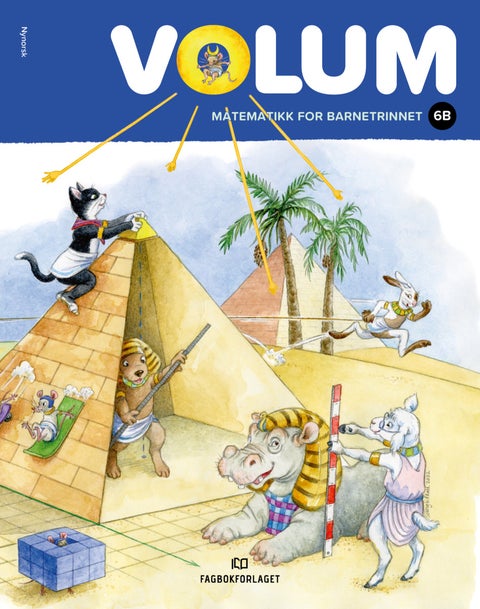 Volum 6B - Elevbok NYN