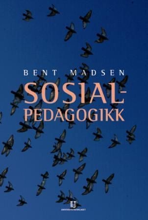 Sosialpedagogikk - integrering og inkludering i det moderne samfunnet