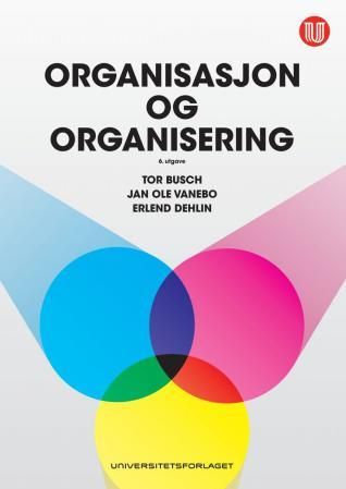 Bilde av Organisasjon Og Organisering Av Tor Busch, Erlend Dehlin, Jan Ole Vanebo