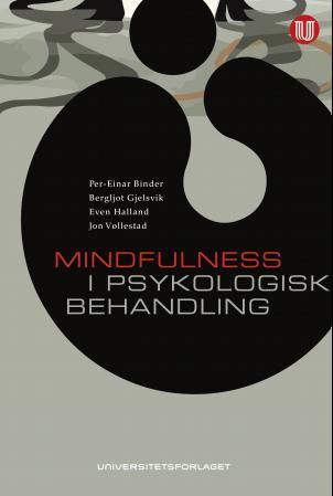 Bilde av Mindfulness I Psykologisk Behandling Av Per-einar Binder, Bergljot Gjelsvik, Even Halland, Jon Vøllestad