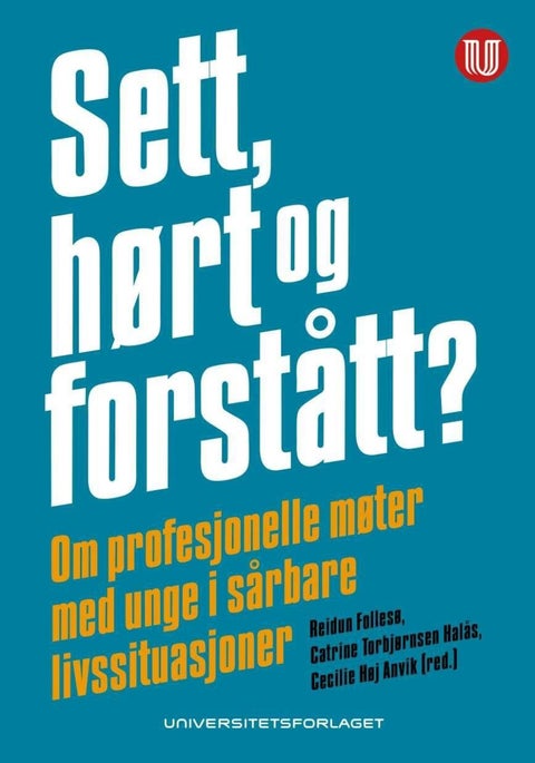 Sett, hørt og forstått? - om profesjonelle møter med unge i sårbare livssituasjoner