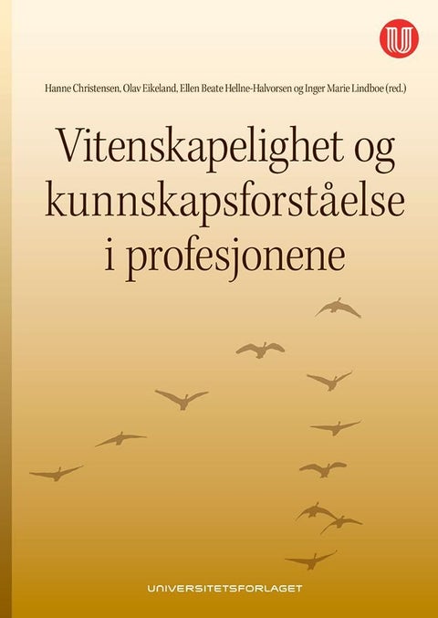 Vitenskapelighet og kunnskapsforståelse i profesjonene