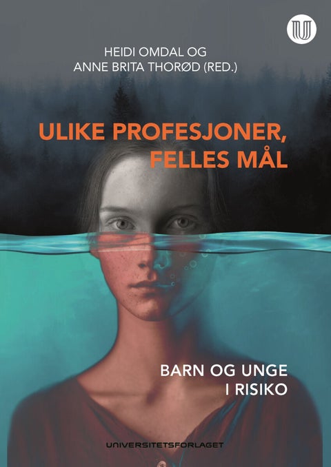 Ulike profesjoner, felles mål - barn og unge i risiko