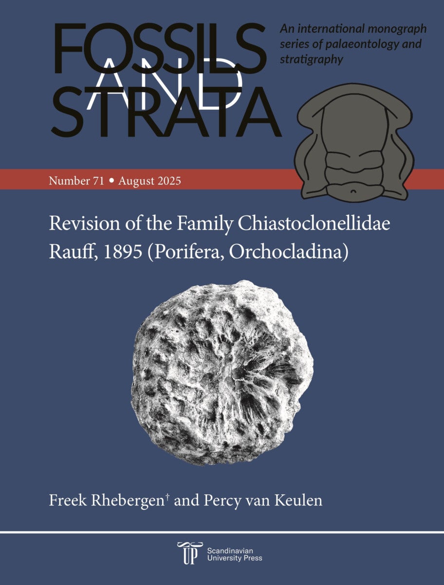 Revision of the Family Chiastoclonelidae Rauff, 1895 (Porifera, Orchocladina)