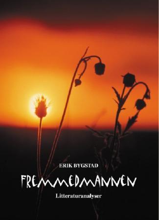 Fremmedmannen - analyser av norske skjønnlitterære tekster
