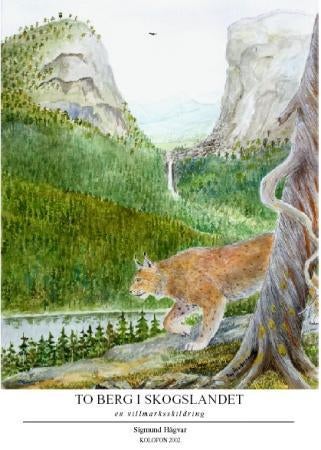 To berg i skogslandet - en villmarksskildring