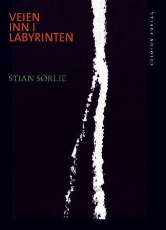 Veien inn i labyrinten - et dystopisk essay