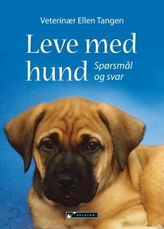 Leve med hund - spørsmål og svar