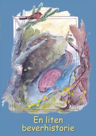 En liten beverhistorie