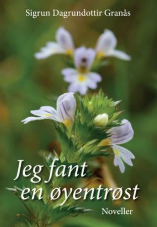 Jeg fant en øyentrøst