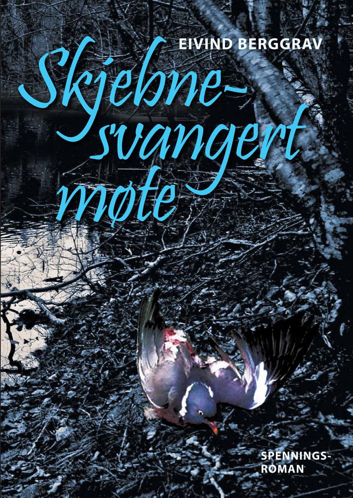 Skjebnesvangert møte - spenningsroman