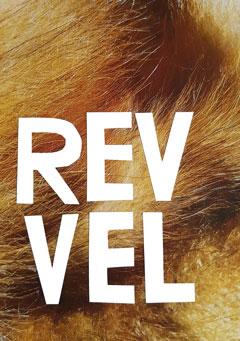 Rev vel - tekster og gjensyn med reven og meg selv