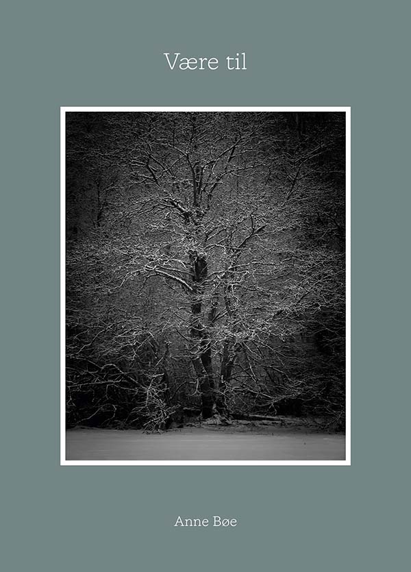 book cover thumbnail