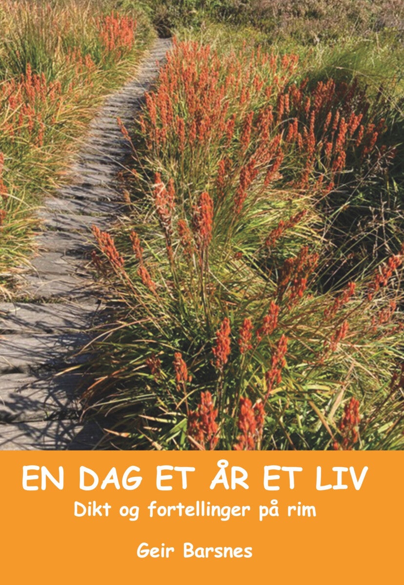 En dag et år et liv - dikt og fortellinger på rim