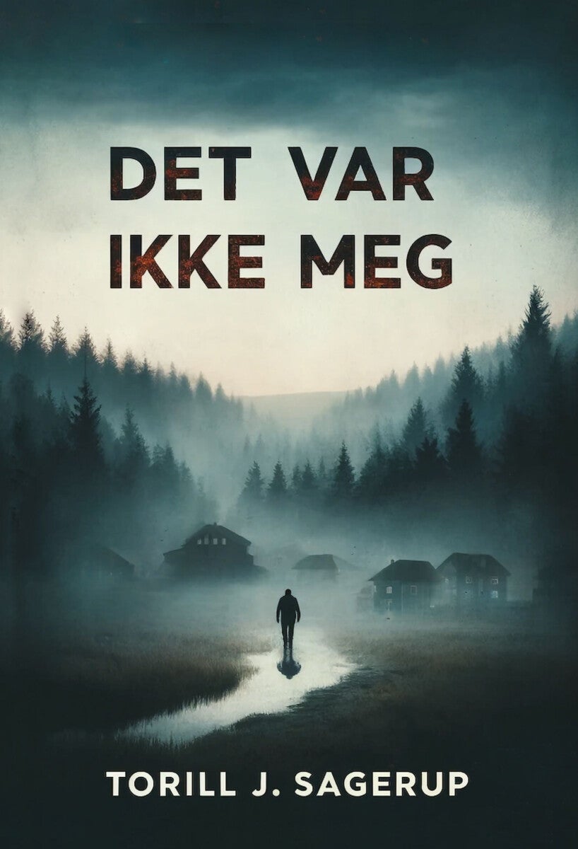 Det var ikke meg