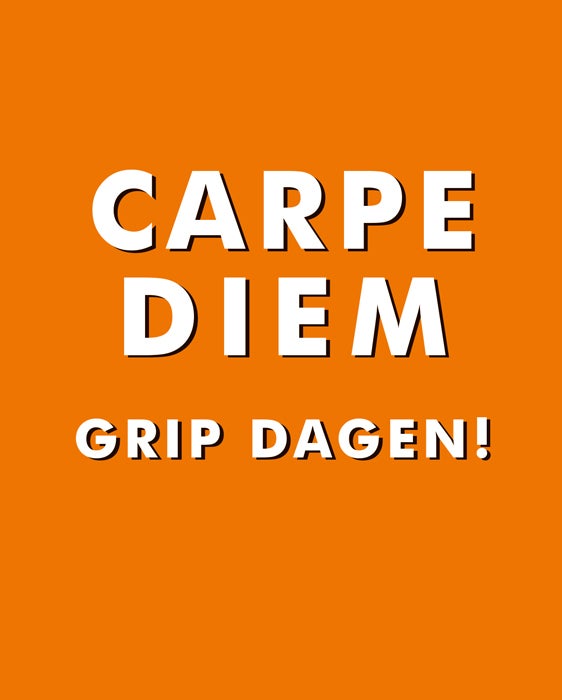 Bilde av Carpe Diem - Grip Dagen!