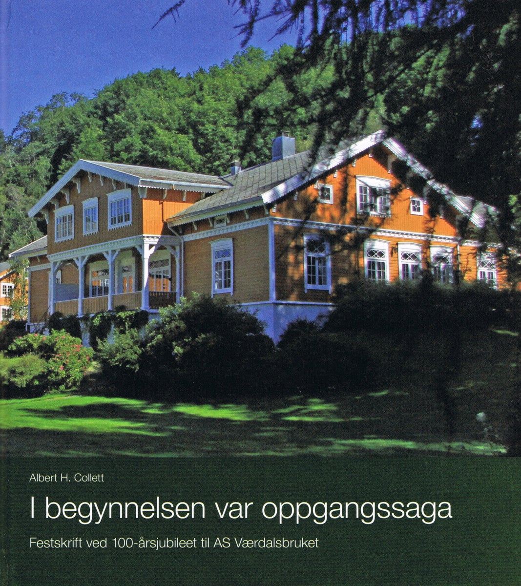 I begynnelsen var oppgangssaga