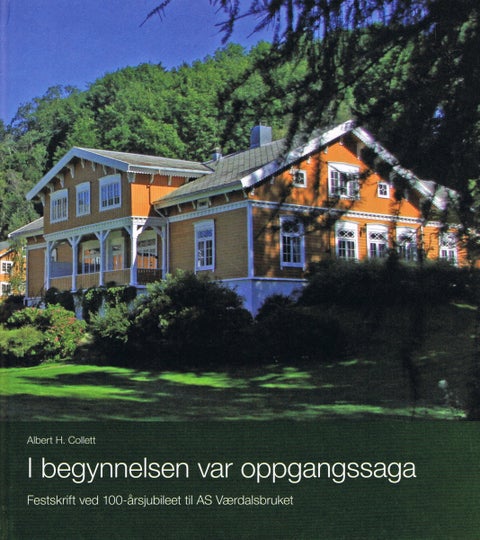 I begynnelsen var oppgangssaga