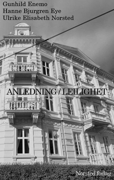 Anledning / leilighet - roman