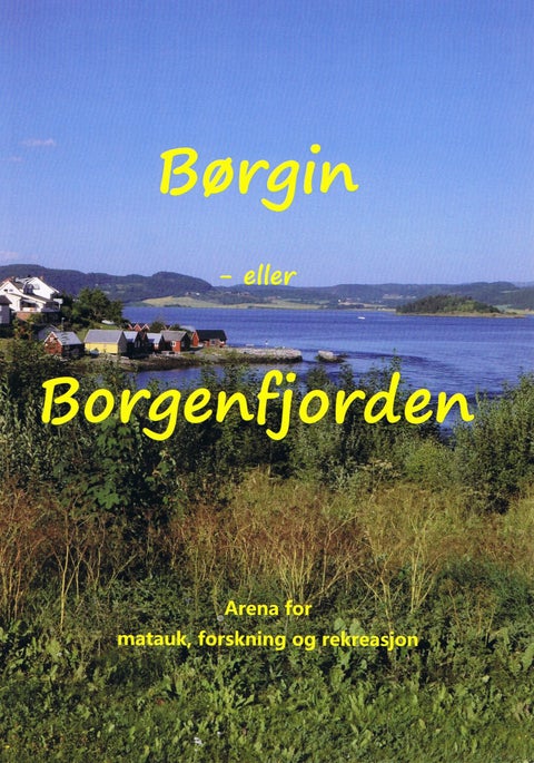 Børgin eller Borgenfjorden