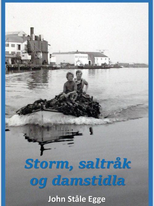Storm, saltråk og damstidla