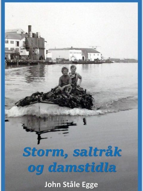 Storm, saltråk og damstidla