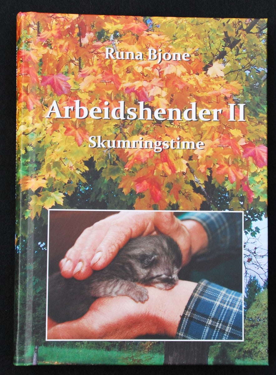 Arbeidshender II Skumringstime