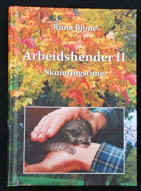 Arbeidshender II Skumringstime