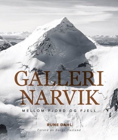 Galleri Narvik - Mellom fjord og fjell