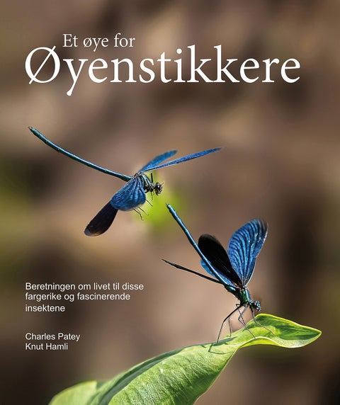 Et øye for øyenstikkere