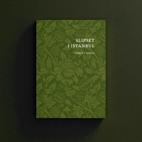 Slipset i Istanbul - og noen andre fortellinger