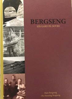 Bergseng - ein gard på Dovre