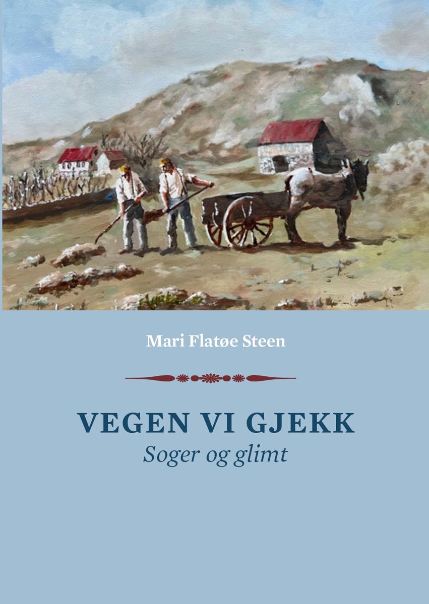 Vegen vi gjekk - Soger og glimt